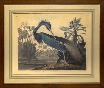 Lot 4 - After John James Audubon (1785-1851)
