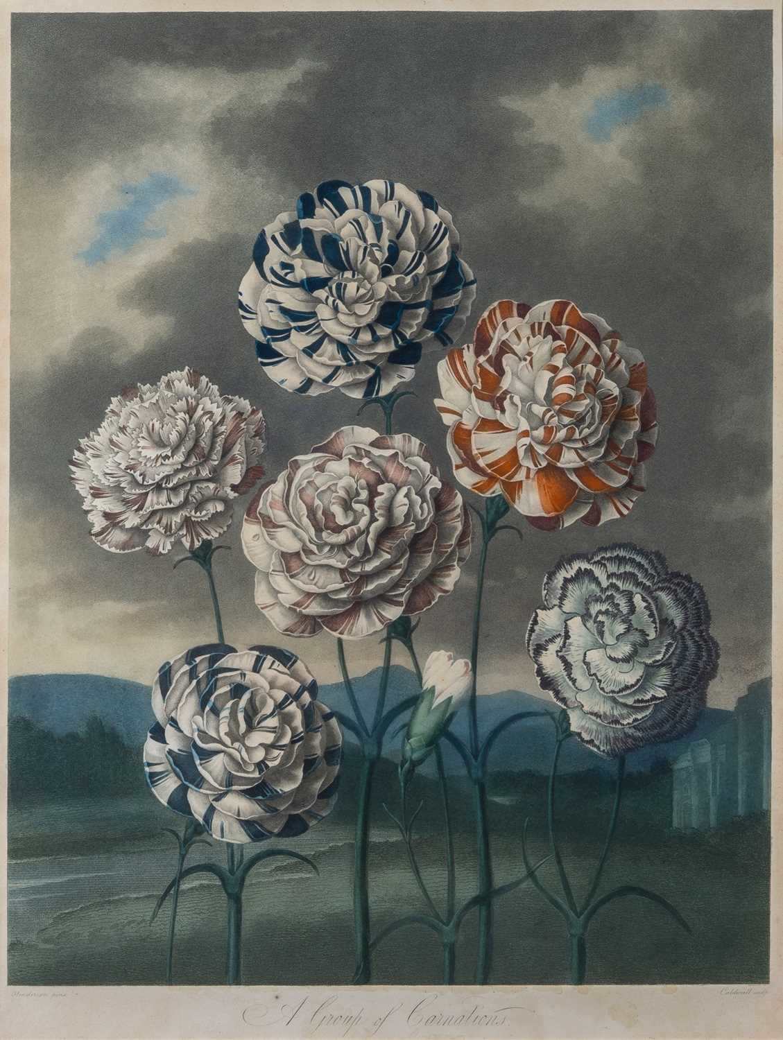 Lot 2 - Dr. Robert Thornton (1768-1837), publisher