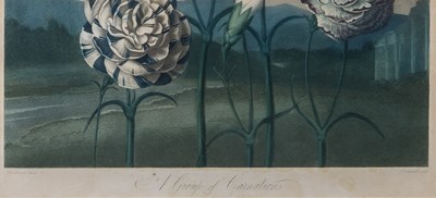 Lot 2 - Dr. Robert Thornton (1768-1837), publisher