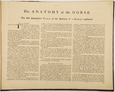 Lot 93 - George Stubbs on the anatomy of the horse