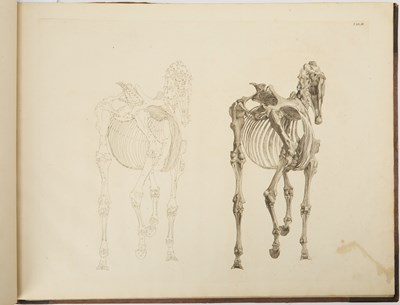 Lot 93 - George Stubbs on the anatomy of the horse