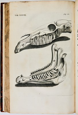 Lot 90 - The first English book on the anatomy of the horse