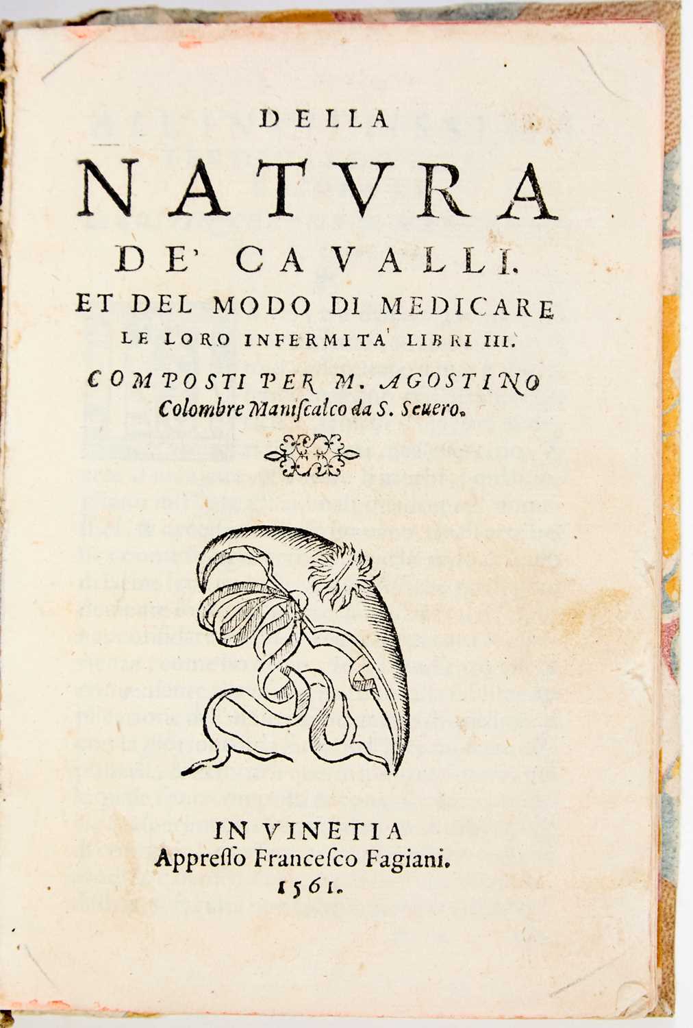Lot 84 - A scarce veterinarian work on the horse