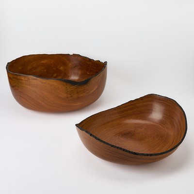 Lot 376 - Two Large Brazilian Lathe-Turned Hardwood Bowls