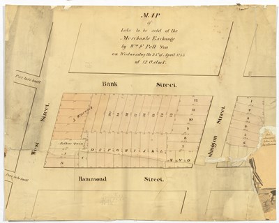 Lot 184 - Manuscript map of property auctioned by William Ferris Pell's company