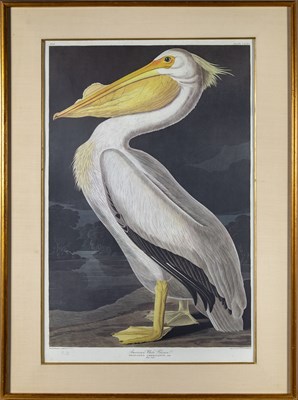 Lot 49 - After John James Audubon (1785-1851)