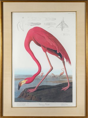 Lot 50 - After John James Audubon (1785-1851)