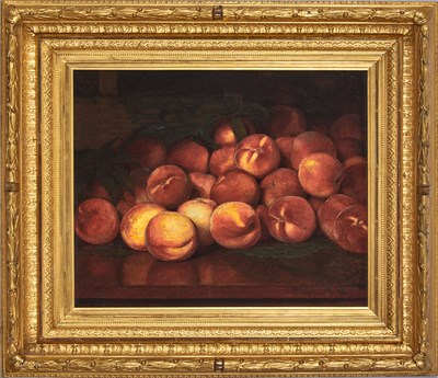 Lot Lemuel Everett Wilmarth