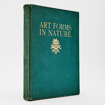 Lot 264 - The First American edition of Blossfeldt's Art Forms in Nature