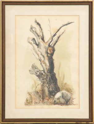 Lot 310 - Ann Close