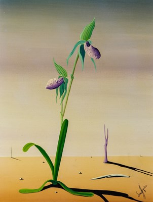 Lot 32 - Jorge Noceda Sanchez