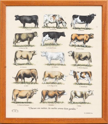 Lot 19 - Framed Tea Towel