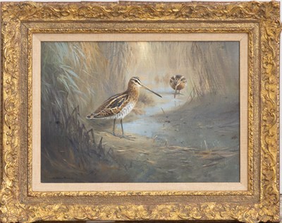Lot 297 - Colin Burns