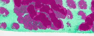 Lot 10 - Howard Hodgkin (1932-2017)