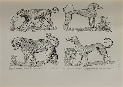Lot 4018 - ASH, EDWARD CECIL Dogs: Their History and...