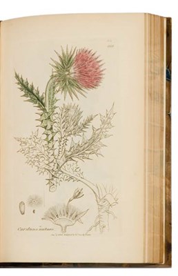 Lot 170 - SMITH, SIR EDWARD JAMES English botany; or,...