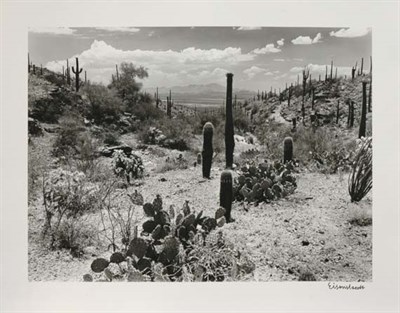 Lot 212 - EISENSTAEDT, ALFRED Saguaro National Monument,...