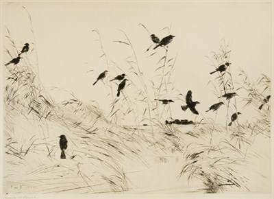 Lot 3257 - Frank W. Benson (1862-1951) THE V; BLACKBIRDS...