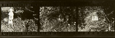 Lot 3203 - ROH, FRANZ [Portrait of a Woman Reading] *...