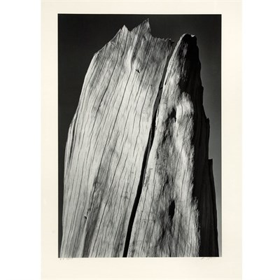 Lot 151 - ADAMS, ANSEL (1902-1984) Portfolio V, #9...