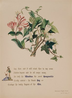 Lot 75 - [COLOR PLATE] GIRAUD, [JANE ELIZABETH]. The...