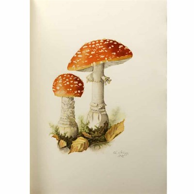 Lot 143 - WASSON, R. GORDON Soma: Divine Mushroom of...