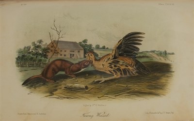 Lot 43 - AUDUBON, JOHN JAMES AND REV. JOHN BACHMAN The...
