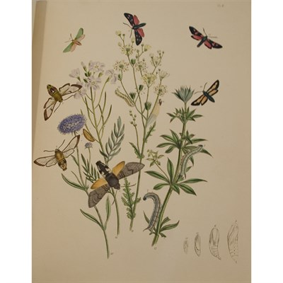 Lot 76 - [COLOR PLATE] HUMPHREYS, H[ENRY] N[OEL]....