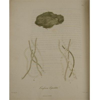 Lot 85 - DILLWYN, LEWIS WESTON British Confervæ; or,...