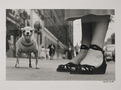 Lot 180 - ERWITT, ELLIOTT (b. 1928) New York City,...