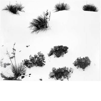 Lot 82 - WESTON, BRETT (1911-1993) [Untitled]....