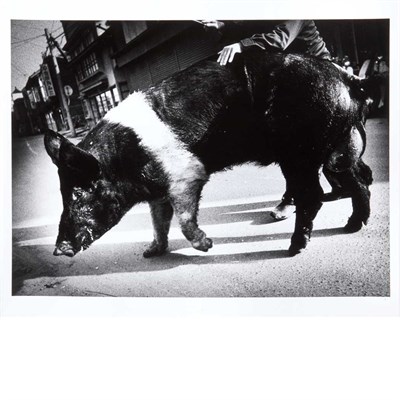 Lot 54 - MORIYAMA, DAIDO (b. 1938) [Pig]. Gelatin...