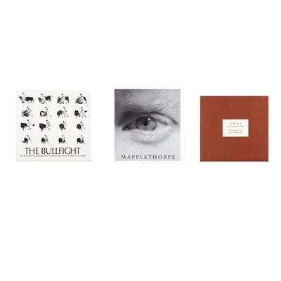 Lot 64 - [PHOTOBOOK] FRIEDLANDER, LEE. Cray at Chippewa...