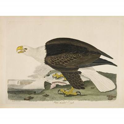 Lot 100 - WILSON, ALEXANDER American Ornithology, or,...