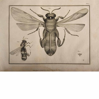 Lot 163 - [MICROSOPES] ADAMS, GEORGE. Essays on the...
