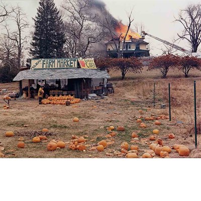 Lot 77 - STERNFELD, JOEL (b. 1944) Mclean, Virginia,...