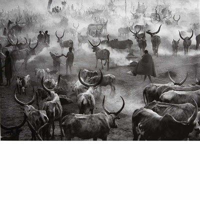 Lot 76 - SALGADO, SEBASTIAO (b. 1944) Dinka Cattle Camp,...