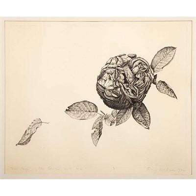 Lot 1224 - Rory McEwen [ROSE STUDY] Etching, 1972, signed,...