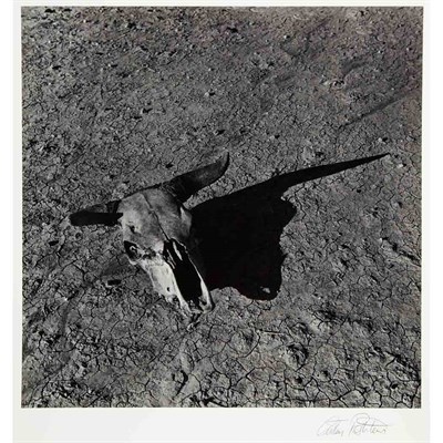 Lot 91 - ROTHSTEIN, ARTHUR [Skull, Badlands, South...