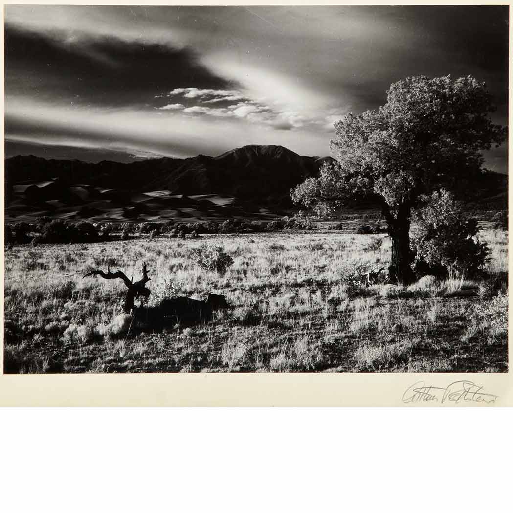 Lot 16 - ROTHSTEIN, ARTHUR [Field, Badlands in...