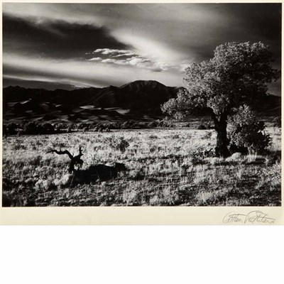 Lot 16 - ROTHSTEIN, ARTHUR [Field, Badlands in...