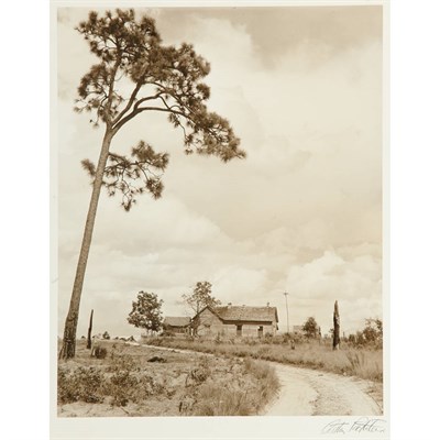 Lot 42 - ROTHSTEIN, ARTHUR [Farm and Pines], vintage...
