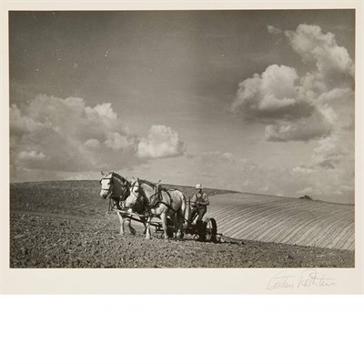 Lot 30 - ROTHSTEIN, ARTHUR [Postmaster Brown, Old Rag,...