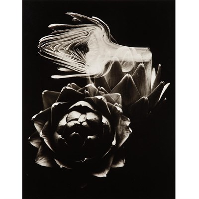 Lot 125 - ROTHSTEIN, ARTHUR Stabelia-1977, gelatin...