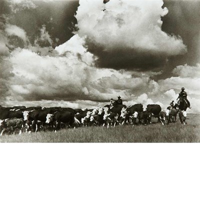 Lot 83 - ROTHSTEIN, ARTHUR Group of fifteen images...