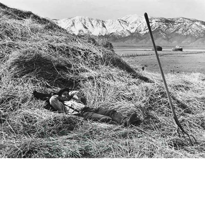 Lot 45 - ROTHSTEIN, ARTHUR Group of five images,...