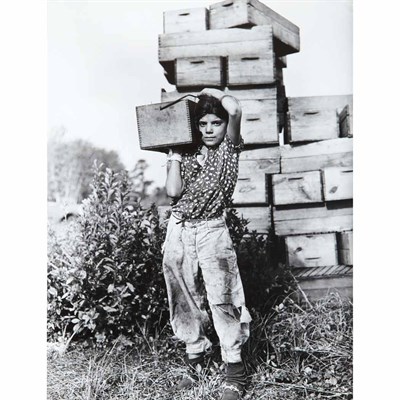 Lot 143 - ROTHSTEIN, ARTHUR Group of nine images,...