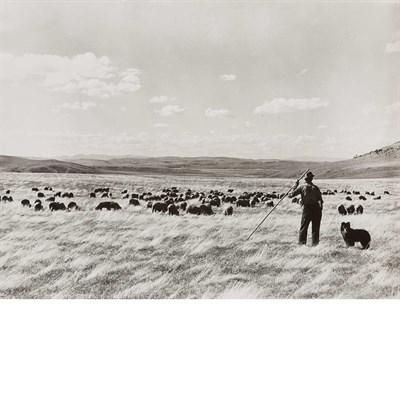Lot 44 - ROTHSTEIN, ARTHUR Group of four images,...