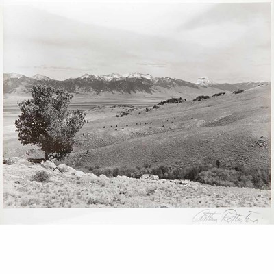 Lot 102 - ROTHSTEIN, ARTHUR Group of ten images, gelatin...