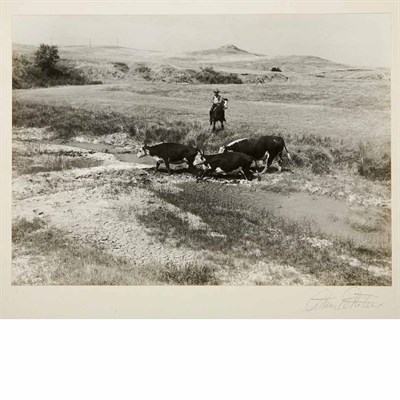 Lot 31 - ROTHSTEIN, ARTHUR [Cattle herding], vintage...
